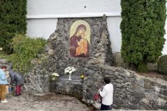 photo_2024-02-24_11-54-23-5