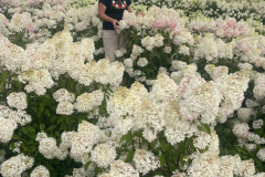 photo_2023-08-09_15-00-31