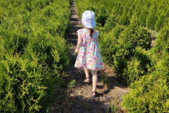 photo_5393243657278176612_y