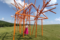 photo_5393243657278176613_y