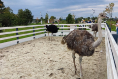 photo_2023-04-11_14-18-00