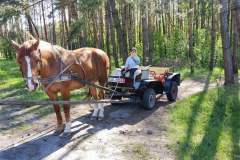 photo5195407366156305606