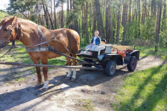 photo5195407366156305608