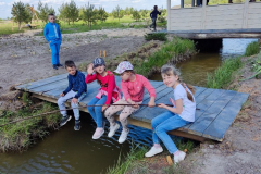 photo5195407366156305611