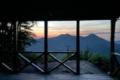 photo_2026-04-01_17-02-31