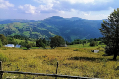 neklasychna005