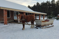 photo_2023-01-10_22-32-36