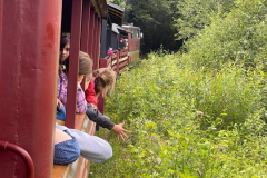 photo_2023-08-09_15-00-26