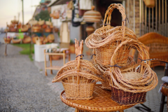 335166538_1278142049432324_2272146222581937690_n