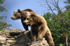 b341fb009fc1fe8a5d2dc7733f3f98b3_XL