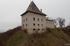 Halych-Burshtyn-19