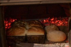 IMG_1077-e1626691680989