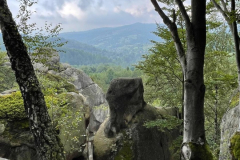 photo_2023-09-04_11-41-32