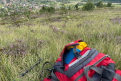 photo_2023-09-13_11-00-47