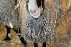 photo_2025-10-22-09.22.05