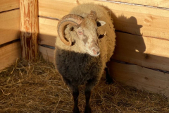 photo_2025-10-22-09.22.06