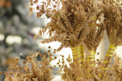 photo_2025-10-22-09.22.19