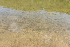 vikendvkarpatakh