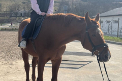 photo_2025-04-19_15-09-07