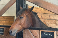 photo_2025-04-19_15-09-17