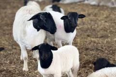 photo_2025-04-19_15-09-29