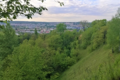 ekskursiia00018