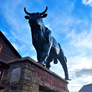 B&B: до бойків та буйволів