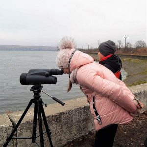 Прикарпатське тріо: Галич, Бурштин, Рогатин