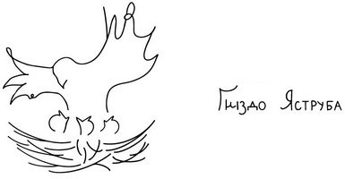 Гніздо яструба